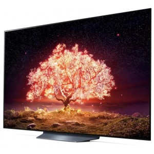 Телевизор LG OLED65B1RLA